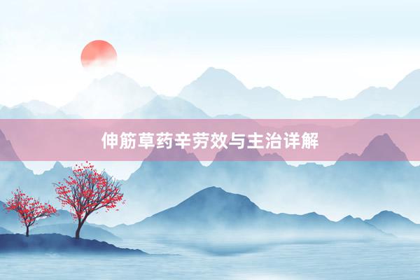 伸筋草药辛劳效与主治详解